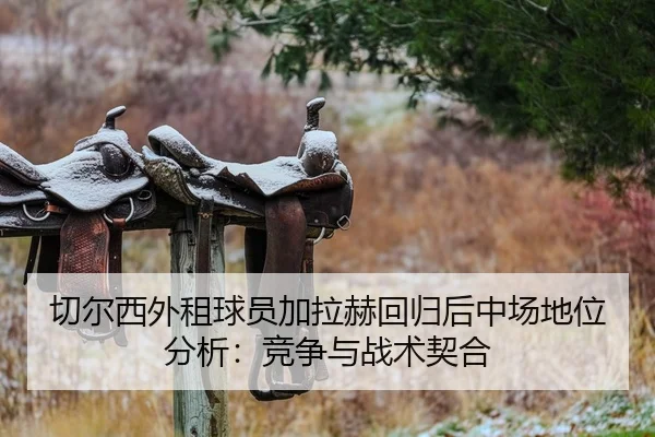 切尔西外租球员加拉赫回归后中场地位分析：竞争与战术契合（CBA）
